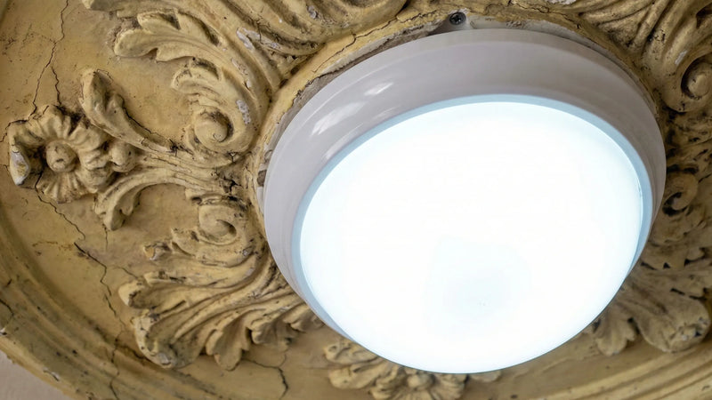 Soulless Mass-Production