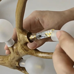 Insert Bulbs & Illuminate